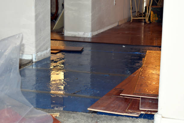 Professional Emergency Water Damage Restoration technician working in Leroy, TX